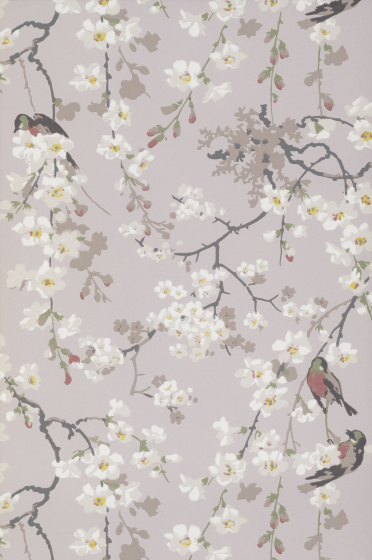 02 Massingberd Blossom - Grey