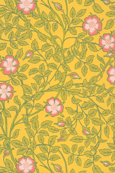 02 Briar Rose - Indian Yellow