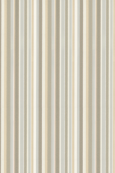02 Tailor Stripe - Taupe